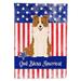 Patriotic USA Border Collie Red White Flag Canvas House Size