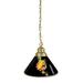 NCAA Ferris State University Single Shade Pendant Light - Brass