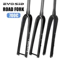 Evosid Voll carbon Rennrad gabel qr 28 6mm Scheiben brems rad für 700c Steck achse 12x mm v Bremse