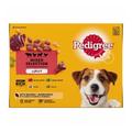 Pedigree Mixed Selection In Jelly Dog Food Pouches 12x100g