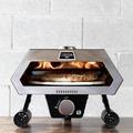 Turpone Mini 12" Rotating Stone Stainless Steel Countertop Propane Pizza Oven Steel in Black | 12.6 H x 16.34 W x 16.34 D in | Wayfair TPO-0012