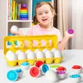 3D Puzzle Montessori Toys Egg Game Learning Education Toys Smart Math Games Eggs Sorter Matching