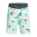 Boardshorts QUIKSILVER "Surfsilk QS 69 19"" Gr. 28(XS), grün (beach glass) Herren Hosen Boardshorts