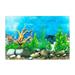 COOLL Colorful Aquarium Backdrop Fish Tank Background Aquarium Background Double Sided 3d Effect Clear Print Terrarium Underwater