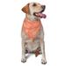 Junzan Beautiful Corals-1pcs Dog Bandanas Dog Bandanas Scarf Triangle Bibs Kerchief Flannel Thicken Cotton Bandana for Small Medium Large Dogs and Cats