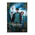 300 Piece Jigsaw Puzzle For Adults & Kids - Harry Potter Puzzle For Boys Girls Puzzle Enthusiasts