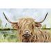 Steelside™ Highland Grazer I by Victoria Borges Painting Print on Canvas Paper in Brown/Gray/Green | 20" H x 30" W | Wayfair