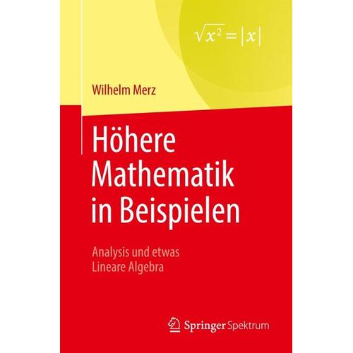 Höhere Mathematik in Beispielen – Wilhelm Merz