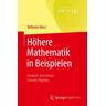 Höhere Mathematik in Beispielen - Wilhelm Merz