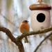 FAMTKT Bird Feeder Garden Decoration Bird House Hut Birdhouse Bird Feeder Wooden Exterior Hanging Indoor and Outdoor Garden Decoration Bird House Hut for Decorating Patios Gardens Backyards