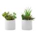 7 in. Decorative Green Plants Artificial Plant White Ceramic Pots - Set of 2