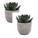 Home Artificial plants office desk Desk plant real 2PCS Room Decor Artificial Plant Artificial Flower Decoration Decorative Faux Succulent Artificial Succulent Simulation Plants With Pots