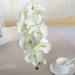 Hxoliqit Artificial Orchid Flower Stem Real White Simulation Butterfly Phalaenopsis Flowers For Home Wedding Party Decoration Artificial Flowers Artificial Plants & Flowers Home Decor