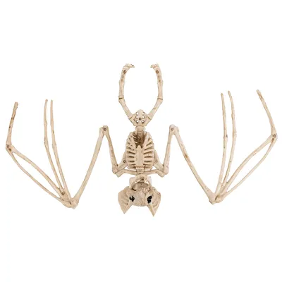 Dekoration Fledermaus-Skelett Image