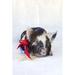 Gracie Oaks Fiona w/ Ribbon by Tania Soderman Canvas in Black/White | 12 H x 8 W x 1.25 D in | Wayfair 36381E85C77B4DFA8BEA20347EA9FC15