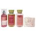 Bath & Body Works Champagne Toast - Trio Gift Set Travel Size - Fine Fragrance Mist Body Lotion and Body Wash With a Himalayan Salts Springs Sample Soap.