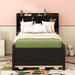 Twin Size Bed with USB Ports, LED light, Trundle and 3 Storage Drawers, Espresso