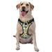 Junzan Bees And Flower Pattern Dog Harness - Lightweight Soft Adjustable Small Harness And Leash Set-Small