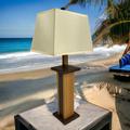 Latitude Run® Fusami Coastal Battery Powered HDPE Poly Lumber Table Lamp in White/Brown | Wayfair B3457E429121446BAB3C0F49C2408956