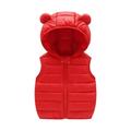 Winter Savings Clearance! Lindreshi Winter Coats for Toddler Girls and Boys Toddler Kids Baby Boys Girls Fashion Cute Solid Color Windproof Padded Clothes Jacket Hooded Vest Coat