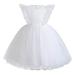 DxhmoneyHX Toddler Princess Dress for Girls Net Yarn Embroidered Lace Gown Wedding Bridesmaid Party Pageant Dress