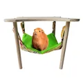 Lit hamac double face avec support en bois accent de couchage cochons d'Inde chinchilla rat