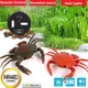 Smart Intelligent RC Robot crab Toy With eye flash light simulation sound crab Model Toy high