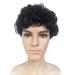 Ediodpoh Fashion Man Black Short Cruly Men s Wig Party Wig Handsome Cool Natural Hair Wig Wigs for Women Black