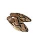 Madewell Shoes | Madewell Womens Shoes Frances Skimmer Mules Snake Print Size 7 | Color: Black/Tan | Size: 7