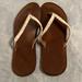 American Eagle Outfitters Shoes | American Eagle Sandals | Color: Brown/Cream | Size: 8