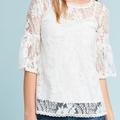 Anthropologie Tops | Anthropologie Blue Tassel Lace Top Large Daisy Shirt Camisole Stretch Boho Women | Color: White | Size: L