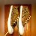 Coach Shoes | Coach Barrett Sz 7 Cc Canvas Sneakers Signature Brown Lace Up Shoes Leather | Color: Brown/Cream | Size: 7