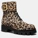 Coach Shoes | Coach Lucy Leopard Print Calf Hair Combat Boots | Color: Black/Tan | Size: 9.5