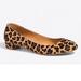J. Crew Shoes | J Crew Lily Leopard Print Calf Hair Flats Slip On Shoe Rounded Toe Low Heel | Color: Black/Tan | Size: 8