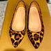 J. Crew Shoes | J.Crew Pointy Toe Flats In Calf Hair Style L3369 Size 8-1/2 | Color: Black/Brown | Size: 8.5