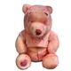 Disney Toys | Disney Story Winnie The Pooh Pink Pooh Bear Stuffed Animal Plush Toy Bear | Color: Pink | Size: Osg