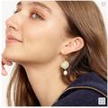 J. Crew Jewelry | J. Crew Le Soleil Pearl Drop Earrings | Color: Gold/White | Size: Os