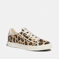 Coach Shoes | Coach Low Top Leopard Print Sneaker Size 8 | Color: Cream/White | Size: 8