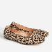 J. Crew Shoes | J.Crew Anya Scrunchie Ballet Flats In Calf Hair Leather | Color: Black/Tan | Size: 10