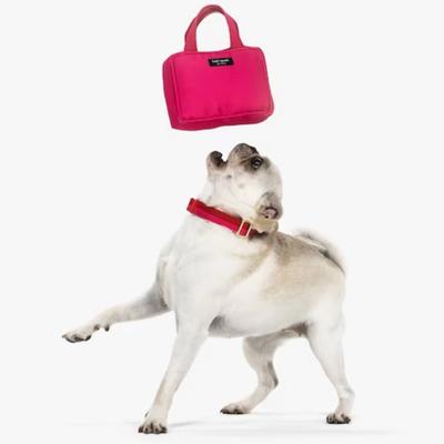 Kate Spade Dog | Kate Spade Hot Pink Chew Toy With Squeaker 6"X4" Never Used- In Original Bag Nwt | Color: Pink | Size: Os