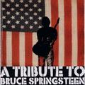 Tribute - Bruce.=Tribu Springsteen. (CD)