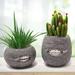 Funny Flower Pot Novelty Zipper Teeth Shape Plant Pots Set of 2 Flower Plant Pots for Indoor Plants Unique Funny Small Succulent Desk Vase for Plant Lover Gifts