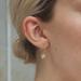 Brandy Melville Jewelry | New Brandy Melville Gold Star Charm Earrings | Color: Gold | Size: Os