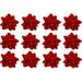 The Holiday Aisle® PMU Decorative Star Gift Bows Medium (12/Pkg) Pkg/1 in Red | 3.75 W x 3.75 D in | Wayfair F19E6ABB1BD14BCD829C89BEA2FF2342