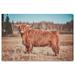 Union Rustic Animals Modern Farmhouse Cow Cabin/Lodge Brown Canvas Wall Art Print Canvas in Blue/Brown | 16 H x 24 W x 0.8 D in | Wayfair