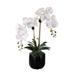 Real Touch Phalaenopsis Orchids in Black Dimensional Pot - White