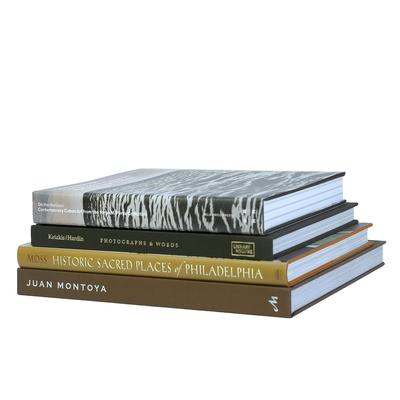 Books Brown Decorative Accessories: Cappuccino ColorStak