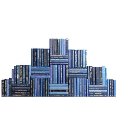 Books Blue Decorative Accessories: Denim & Gold Book Wall, S/100