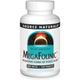 Source Naturals MegaFolinic (Folic Acid) 800mcg 120 Tablets