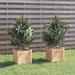 vidaXL Garden Planters 2 pcs 12.2"x12.2"x12.2" Solid Wood Pine - 12.2"x12.2"x12.2" 2 pcs